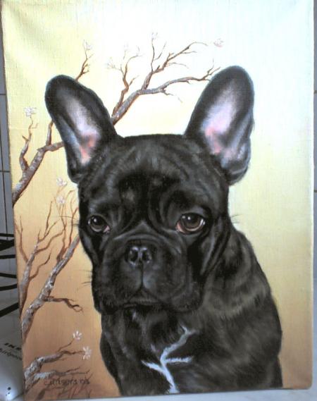 bulldog français